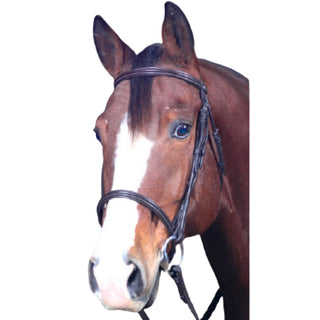 Chetak Padded Snaffle Bridle, Havana, Cob