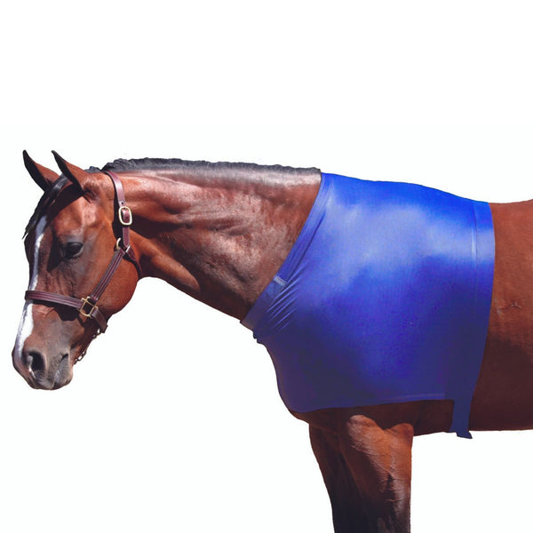 Sleazy Sleepwear Nylon Lycra Shoulder Guard, Royal Blue, Small