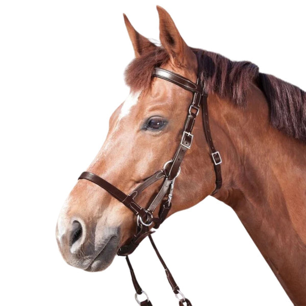 Star Two Bitless Bridle, Pony