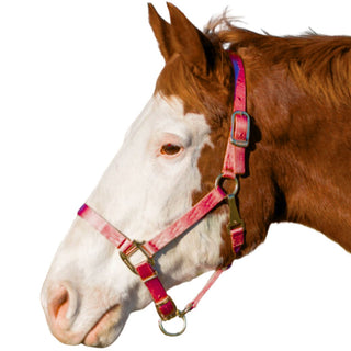 Hamilton Adjustable Average Horse Halter with Throat Snap, Red