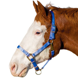 Hamilton Adjustable Small Horse Halter with Throat Snap, Blue