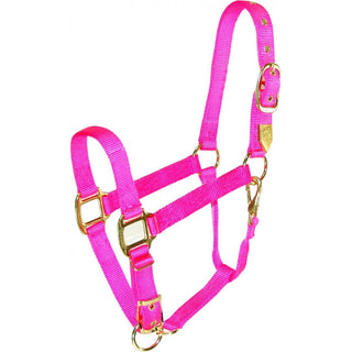 Hamilton Adjustable Average Horse Halter with Throat Snap, Hot Pink
