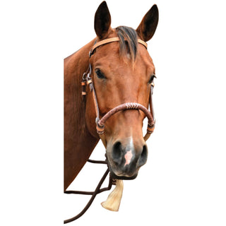 Sierra Flower Headstall Bosal Set, Light Oil with Brown Reins