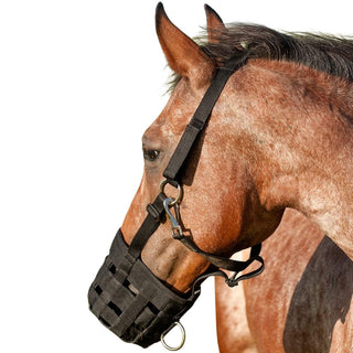Cashel Grazing Muzzle, Mini