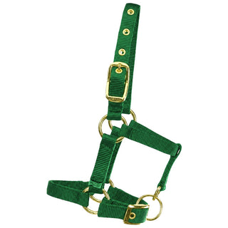 Western Rawhide Miniature Weanling Halter, Green