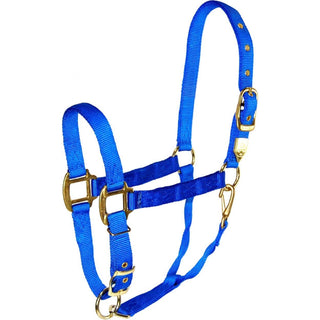 Hamilton Adjustable Average Horse Halter with Throat Snap, Blue
