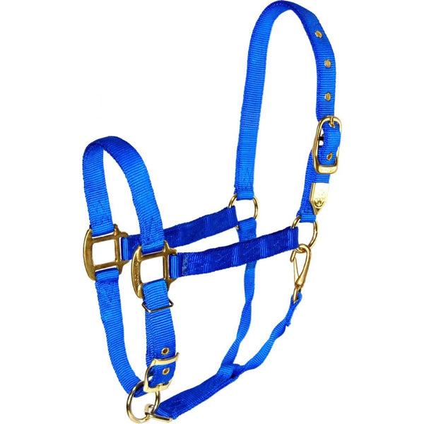 Hamilton Adjustable Average Horse Halter with Throat Snap, Blue