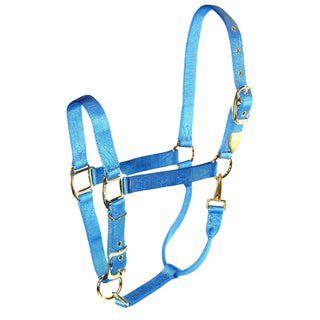 Hamilton Adjustable Average Horse Halter with Throat Snap, Sky Blue
