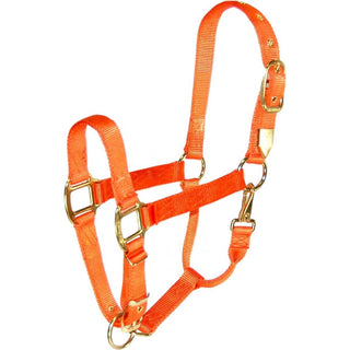 Hamilton Adjustable Small Horse Halter with Throat Snap, Orange