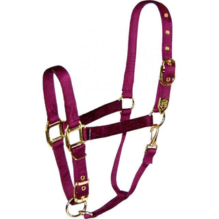 Hamilton Adjustable Small Horse Halter with Throat Snap, Wine