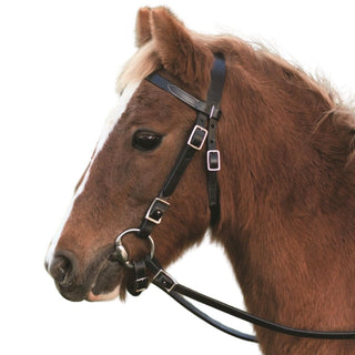 Western Rawhide Pony Bridle With Reins, Dark Brown