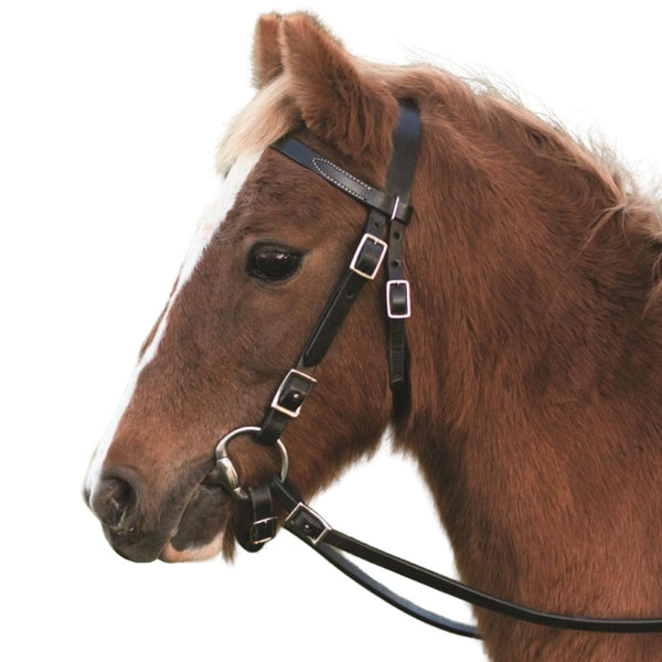 Western Rawhide Pony Bridle With Reins, Dark Brown
