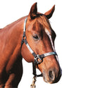 Western Rawhide Signature Horse Halter, Rhombus