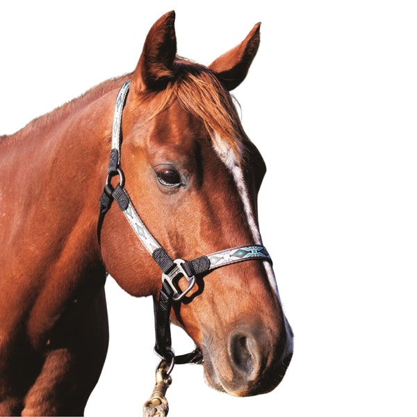Western Rawhide Signature Horse Halter, Rhombus