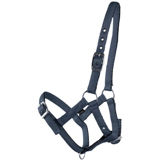 Country Legend Cushion Web Foal Halter, Navy