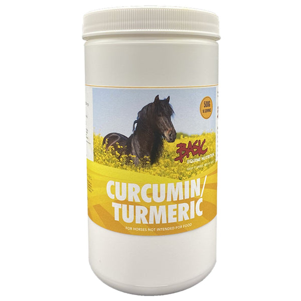 Basic Curcumin/Turmeric, 500g