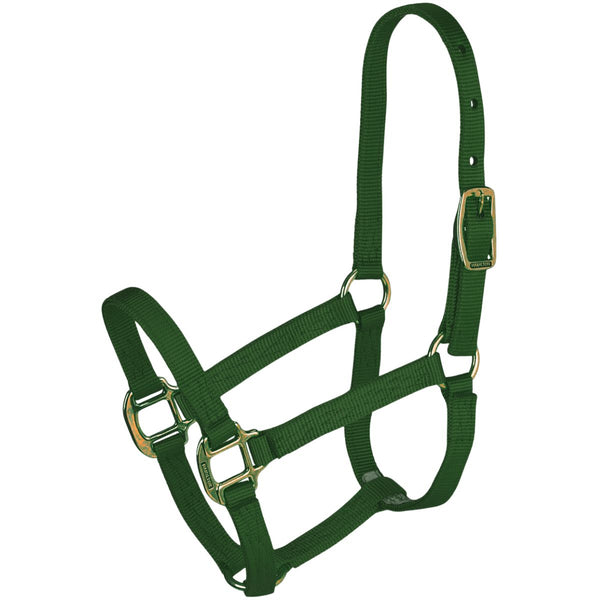 Hamilton Yearling Halter, Hunter Green