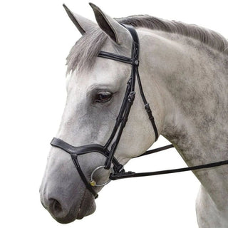 M. Toulouse Hybrid Dressage Bridle, Black, Oversize