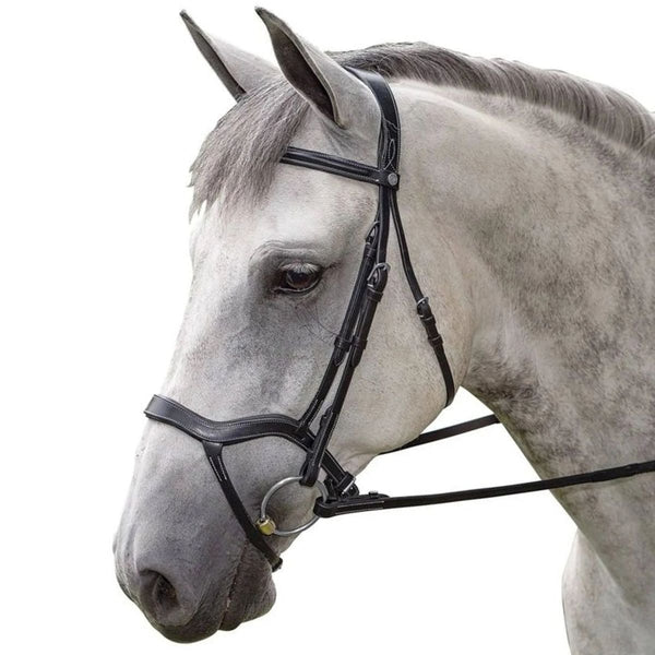 M. Toulouse Hybrid Dressage Bridle, Black, Oversize