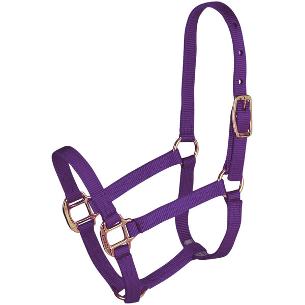 Hamilton Yearling Halter, Purple