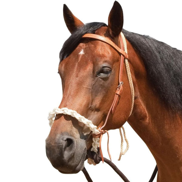 Mustang Breaking Hackamore with Round Braided Nylon Noseband