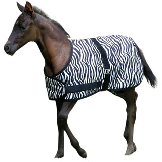 Century Foal Blanket, Zebra Print, 34"