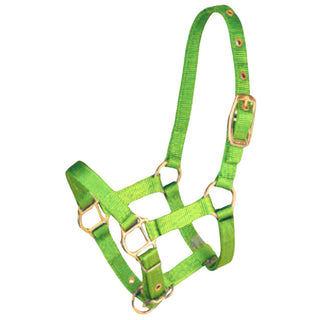 Hamilton Large Horse Halter, Lime Green