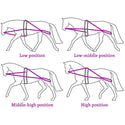 QHP Lunging Training System, Black