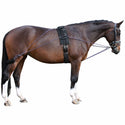QHP Lunging Training System, Black