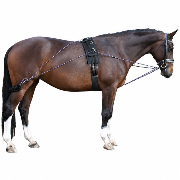 QHP Lunging Training System, Black