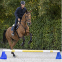 Waldhausen Cavaletti Jump Block, Blue, Each