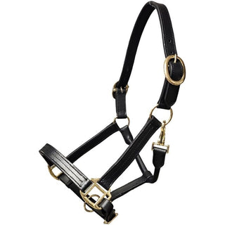 Griffith Leather Extra Large Halter, Black