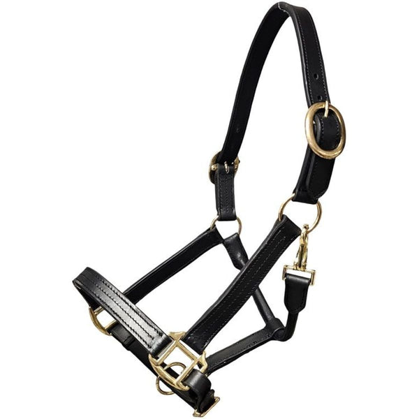 Griffith Leather Extra Large Halter, Black