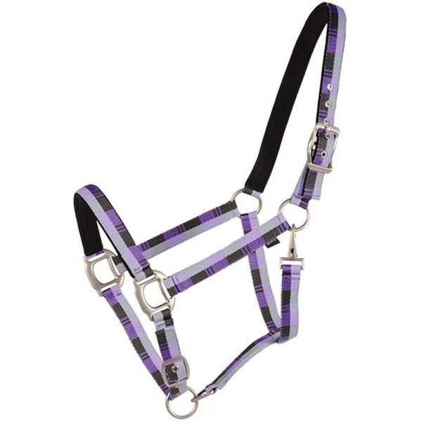 Country Legend Nubuck Padded Horse Halter, Purple/Grey