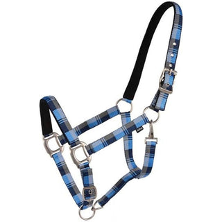 Country Legend Nubuck Padded Horse Halter, Navy/Baby Blue/Grey