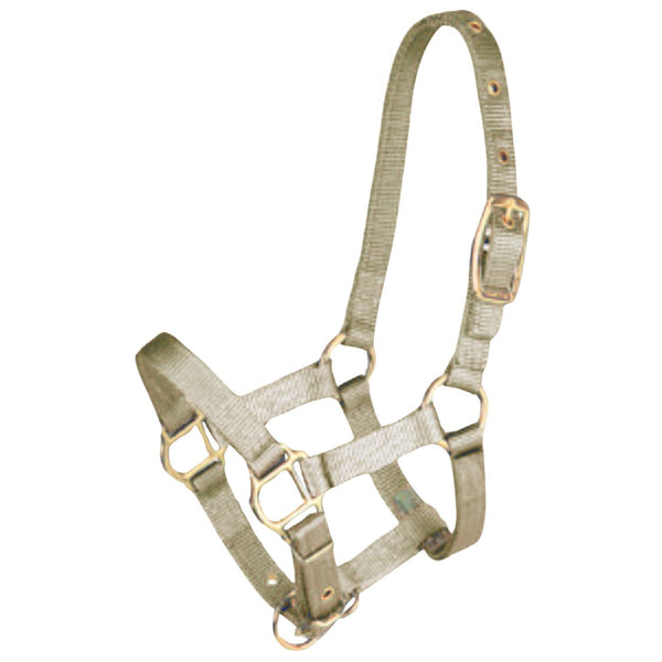 Hamilton Average Horse Halter, Sage