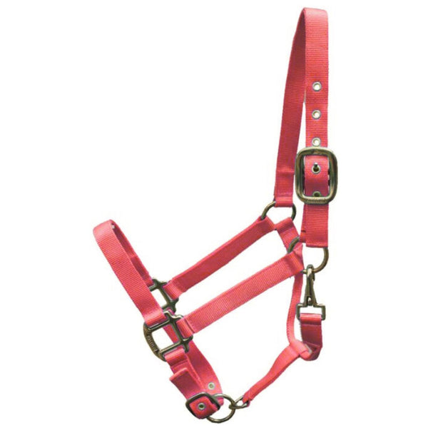 Extra Large Nylon Halter, Red