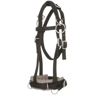 Tough 1 Miniature Nylon Training Cavesson, Brown