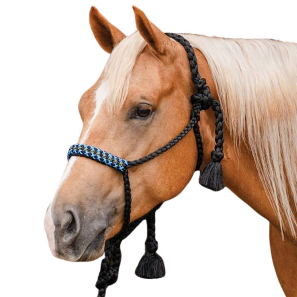 Professional's Choice Cowboy Braided Halter, Black/Blue