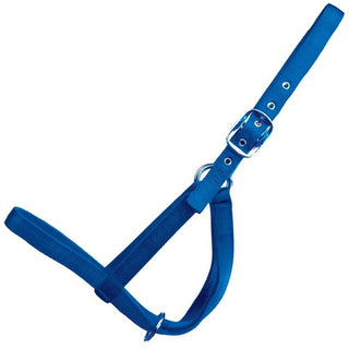 Western Rawhide Blue Turnout Halter, Cow