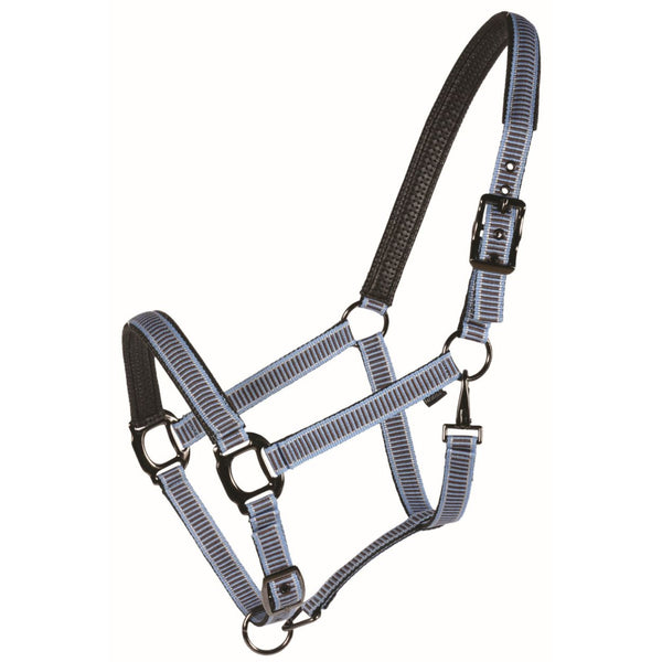 Country Legend Designer Padded Horse Halter, Baby Blue/Brown