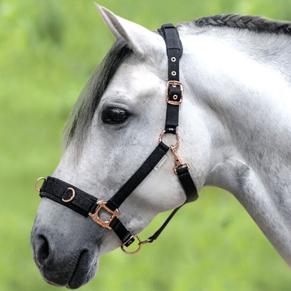 Waldhausen Rosé Lunging Cavesson, Full