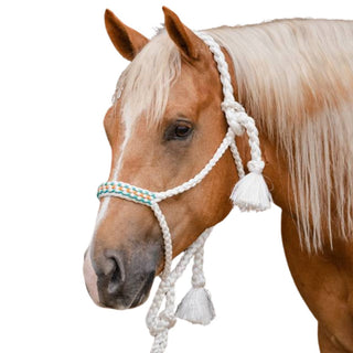 Professional's Choice Cowboy Braided Halter, White/Teal