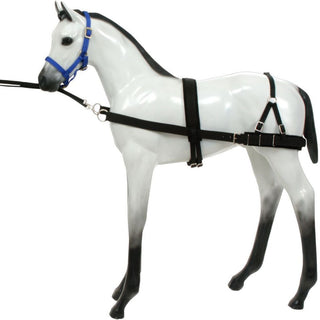 Tough 1 Foal Training Device