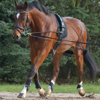 Waldhausen Lunging System, Pony/Cob