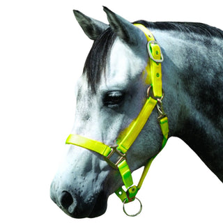 Cavalier Super Soft Nylon Horse Halter, Neon Green