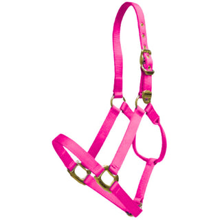 Lami-Cell Nylon Horse Halter, Hot Pink