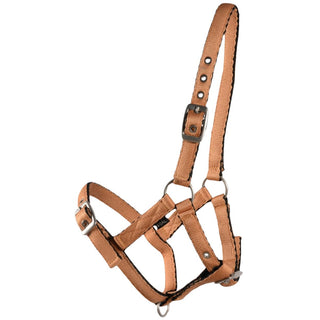 Country Legend Cushion Web Foal Halter, Tan