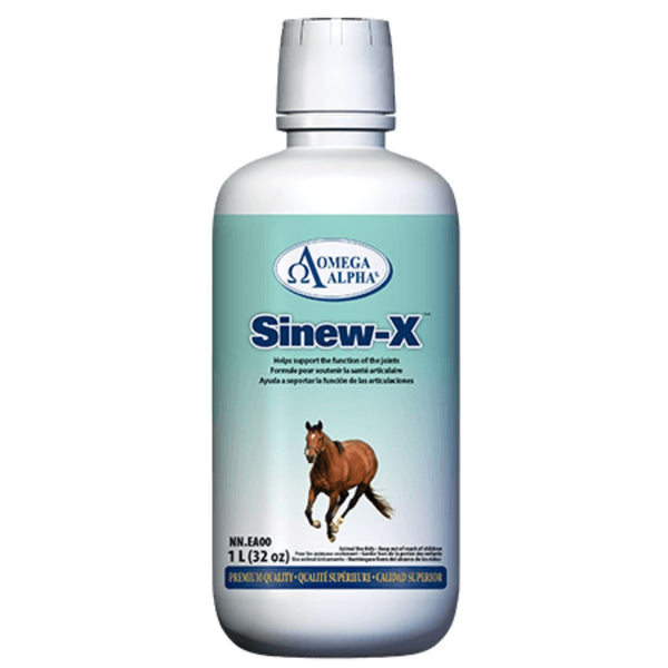 Omega Alpha Sinew-X, 1L