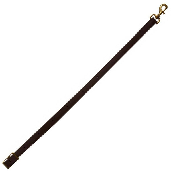 Western Rawhide 1" Biothane Tie Down, Brown